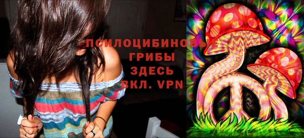 ГАЛЛЮЦИНОГЕННЫЕ ГРИБЫ Абдулино