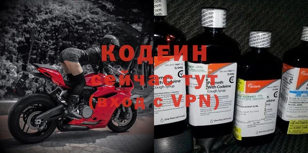ECSTASY Алзамай
